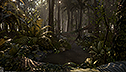 <br>Alumnus <br>Timothy Dries<br> Rainforest scene